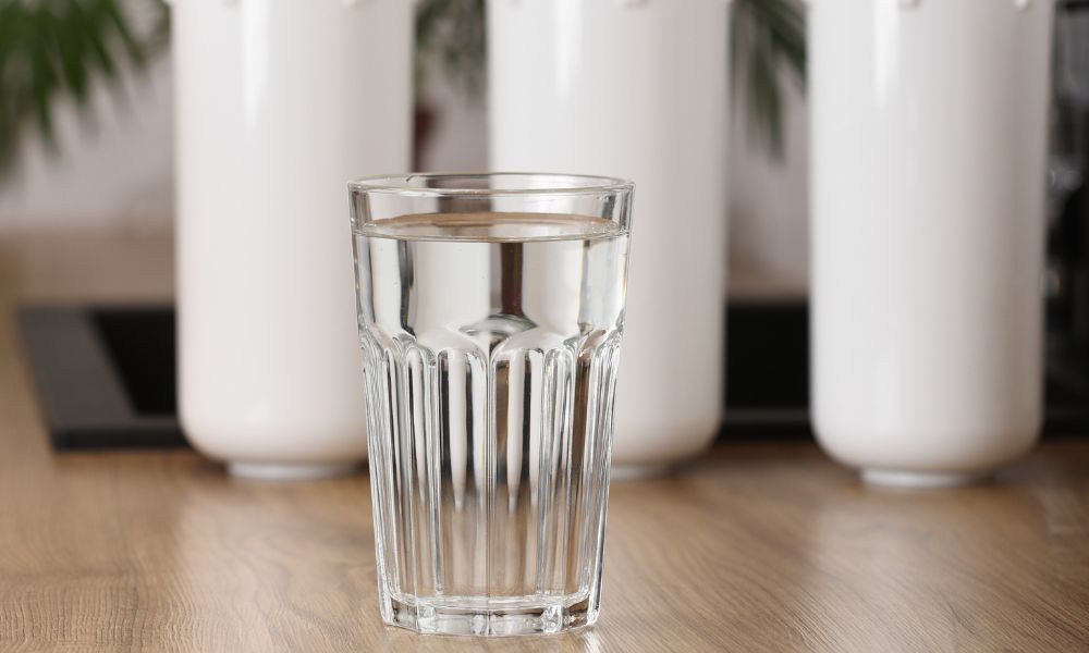 health benefits of drinking RO water